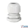 Ốc siết cáp nhựa PG19 giúp cố định dây điện chắc chắn, chống bụi và bảo vệ dây cáp trong hệ thống điện công nghiệp.